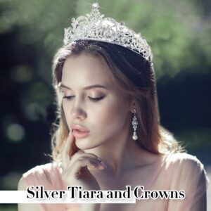 Landical 15 Pcs Silver Tiara and Crowns for Women Crystal Tiara Crown Headband with Comb Rhinestone Queen Princess Crown Hair Accessories for Christmas Bridal Party Prom Costume Cosplay Gifts