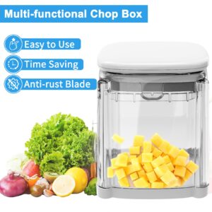 French Fry Cutter 4-in-1 Food Dicer Chop Box, Potato Cutter for Fries Potato French Fry Onion Cutter Food Chopper Manual Hand Vegetable Cutter Dicer Apple Slicer, 4 Blades