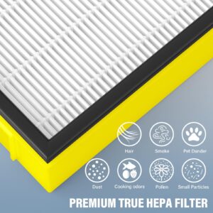 FLT4100 True HEPA Replacement Filter E for Guardian AC4100, AC4100CA, AC4150BL, AC4150PCA, AC4150P, 4 True HEPA Filter & 8 Activated Carbon Filter