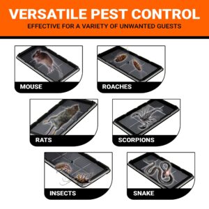 PESTQUEST 12 Pack Glue Mouse Traps Indoor for Home, Large Glue Traps for Mice and Rats, Pre-Baited Peanut Scent Sticky Rat Traps for Inside House, Snake, Lizard, Insect & Spiders, Pet & Family Safe