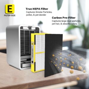 FLT4100 True HEPA Replacement Filter E for Guardian AC4100, AC4100CA, AC4150BL, AC4150PCA, AC4150P, 4 True HEPA Filter & 8 Activated Carbon Filter