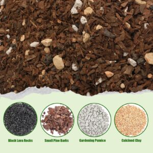 Doter Bonsai Soil Mix Ready to Use (1qt), Premium Fast Draining Organic All Purpose Potting Mix for All Varieties of Bonsai