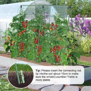 2 PCS Cucumber Trellis for Climbing Plants Outdoor, Garden Trellis for Raised Bed Garden,Vegetable Grow Supports with Climbing Net for Tomato Bean Squash, Grape Zucchini (2PCS)