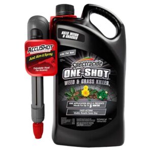 spectracide one-shot weed & grass killer with accushot sprayer, 1 gallon, one application kills and prevents weeds for up to 5 months