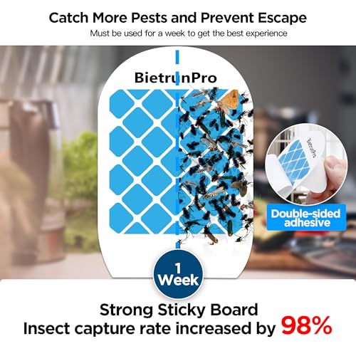 Fruit Fly Traps/Gnat Traps for Indoors(2 Devices+6 Refills), 2-in-1 UV＆Blue Light Plug-in Bug Trap, NAT Killer, Flying Insect Catcher Sticky Trap for Home House Fruit Flies, Moths, Mosquitoes, Fungus