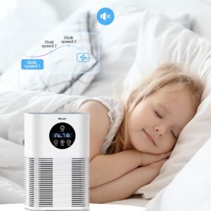 Air Purifiers for Home Large Room up to 600 Ft², VEWIOR H13 True Hepa Air Purifiers for Pets Hair, Dander, Smoke, Pollen, 3 Fan Speeds, 6 Timer Air Cleaner