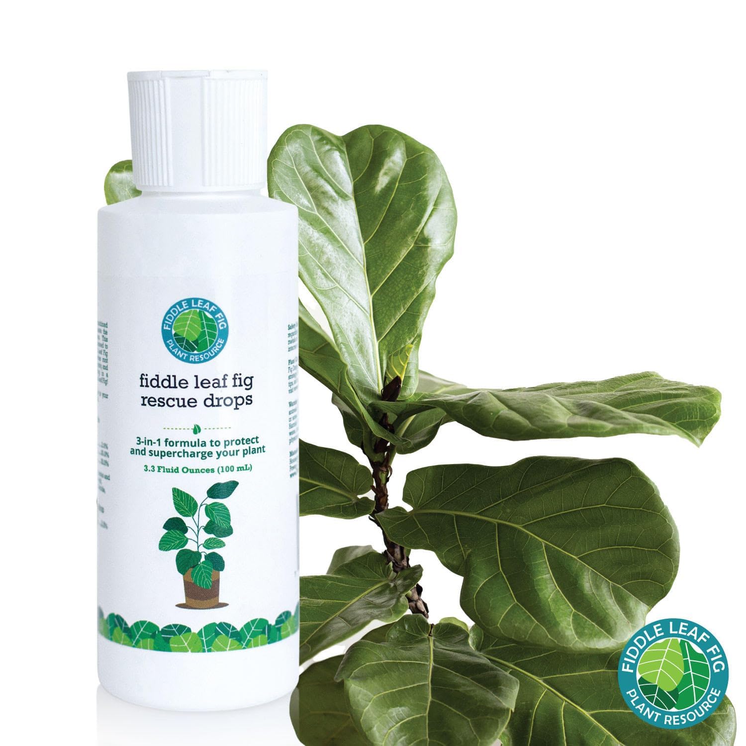 Fiddle Leaf Fig Rescue Drops by Fiddle Leaf Fig Plant Resource | 3-in-1 Liquid Fertilizer, Root Supplement & Immunity Booster (3.3 Fluid Ounces - 100ml)