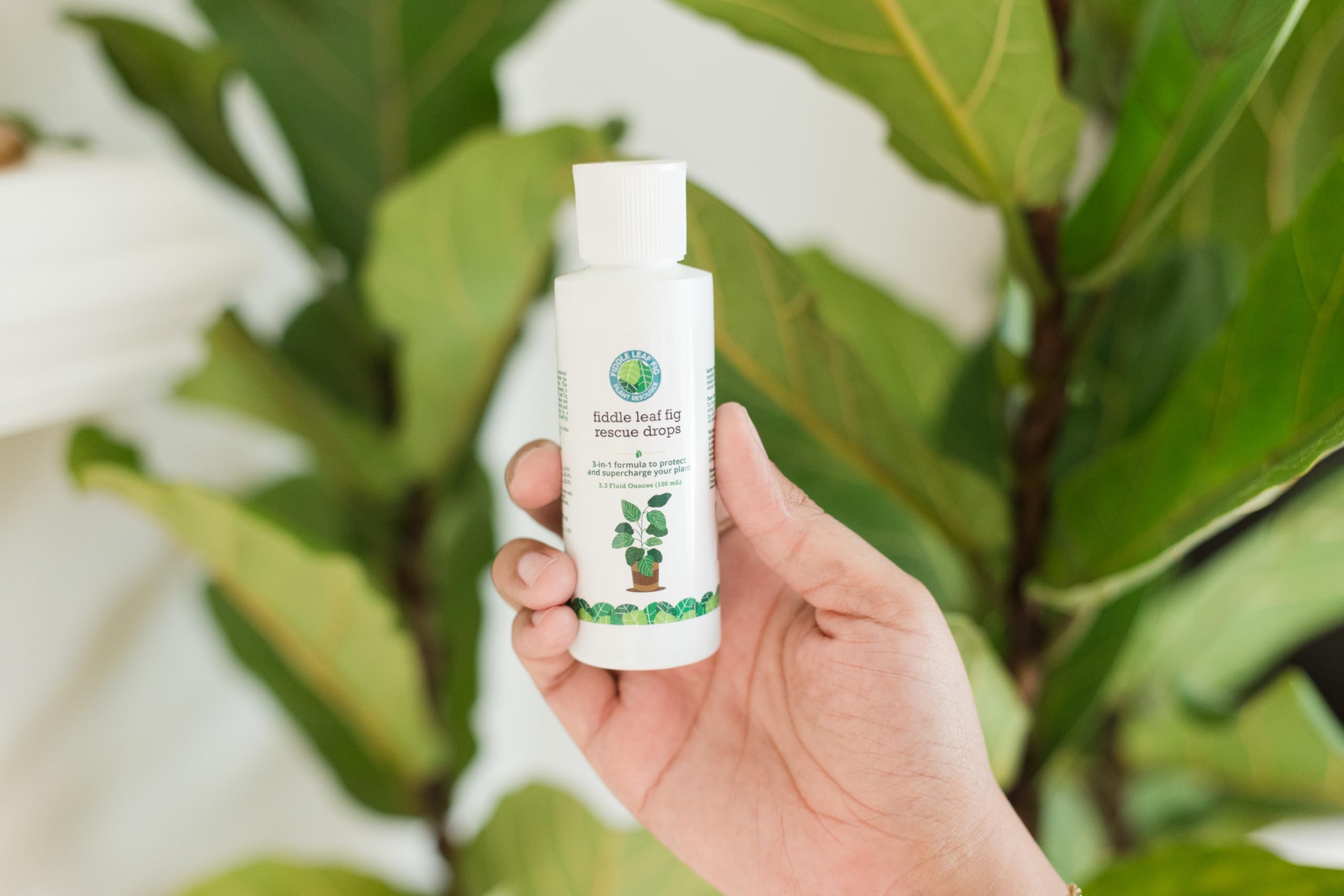 Fiddle Leaf Fig Rescue Drops by Fiddle Leaf Fig Plant Resource | 3-in-1 Liquid Fertilizer, Root Supplement & Immunity Booster (3.3 Fluid Ounces - 100ml)