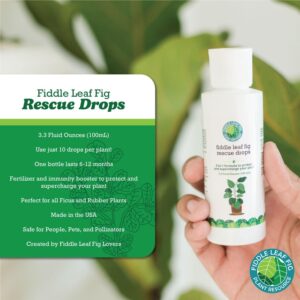 Fiddle Leaf Fig Rescue Drops by Fiddle Leaf Fig Plant Resource | 3-in-1 Liquid Fertilizer, Root Supplement & Immunity Booster (3.3 Fluid Ounces - 100ml)