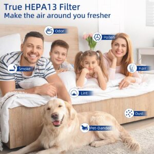 25 Air Purifier Replacement Filter: Compatible with MA Series Air Purifier 25 S1/W1/B1, 3 in 1 Pre-filter, H13 True HEPA Filter and Activated Carbon Filter, 4 Packs