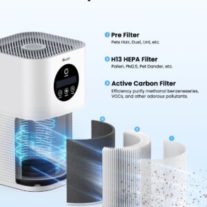 Air Purifiers for Home Large Room up to 600 Ft², VEWIOR H13 True Hepa Air Purifiers for Pets Hair, Dander, Smoke, Pollen, 3 Fan Speeds, 6 Timer Air Cleaner