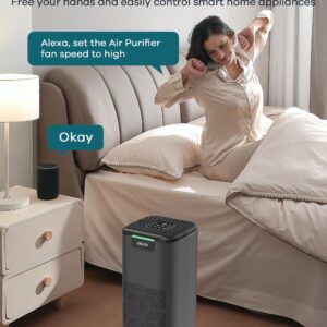 WELOV World's 1st Matter Smart Air Purifier, Air Purifiers for Home Covers 1570 Ft², 99.997% Filtration Efficiency of Particles 0.1-0.3 μm, H13 True HEPA PM2.5 Monitor, Sleep Mode, Dimmable Lighting