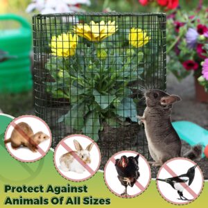 Hiboom 4 Set Garden Plant Protectors from Animals with Stakes, Metal Mesh and Detachable Covers Wire Plant Cage for Keeping Bunny Animals Out, Chicken Wire Plant Cover Garden Protection (Dark Green)