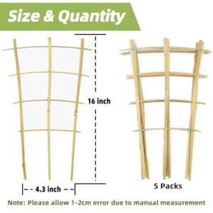 5 Pack 16" Bamboo Trellis for Climbing Plants-Natural Garden Ladder Trellis, Fan -Shaped Support Trellis for Potted Plant Decor in Door