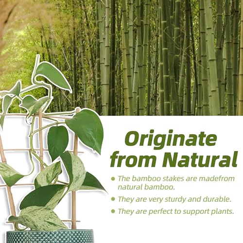 5 Pack 16" Bamboo Trellis for Climbing Plants-Natural Garden Ladder Trellis, Fan -Shaped Support Trellis for Potted Plant Decor in Door