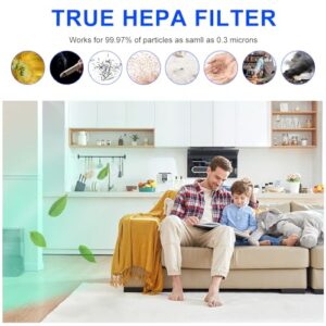 Can-Meageren 990051000 Replacement True HEPA Air Filter Compatible with Hamilton Beach TrueAir Compact Pet Air Purifiers 04383 04384 04385 04386, H13 High-efficiency Air Clean Dust,2-Pack