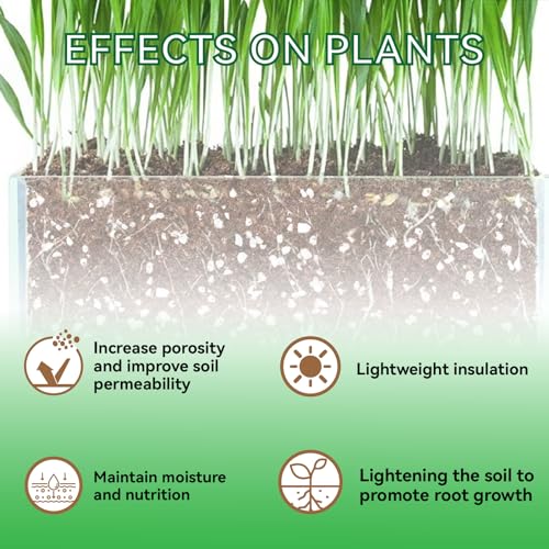 12QT Perlite for Plants, 3-6mm Horticultural Medium pearlight for Indoor & Outdoor, perilite Bulk Soil Amendment for Enhanced Drainage and Growth…