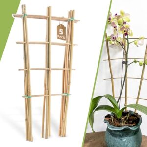 5 pack 16" bamboo trellis for climbing plants-natural garden ladder trellis, fan -shaped support trellis for potted plant decor in door