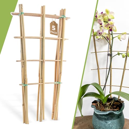 5 Pack 16" Bamboo Trellis for Climbing Plants-Natural Garden Ladder Trellis, Fan -Shaped Support Trellis for Potted Plant Decor in Door