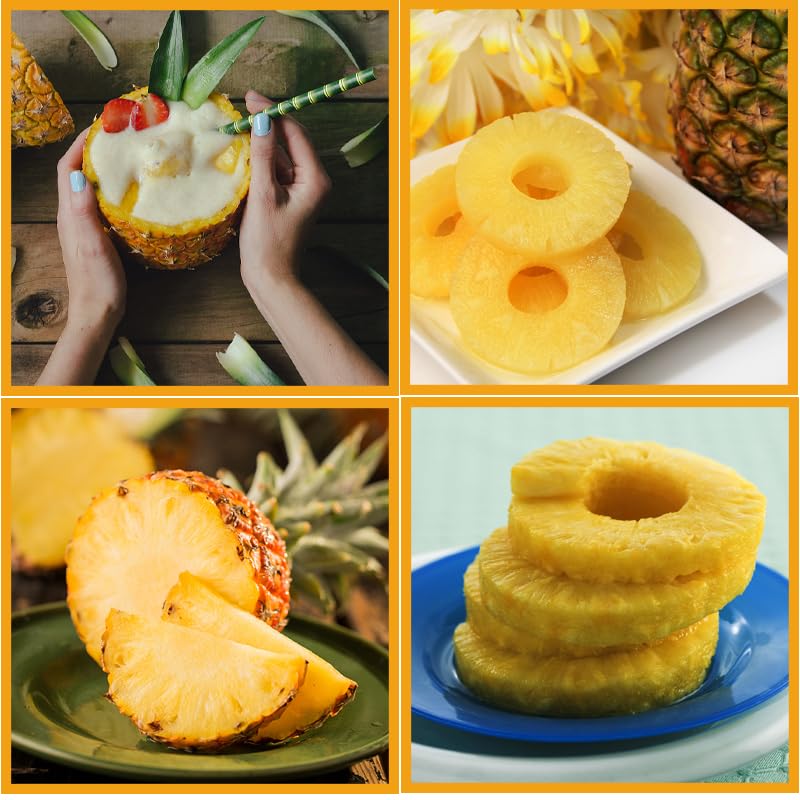 Pineapple Corer and Slicer Tool, [Upgraded] Premium Stainless Steel Pineapple Cutter Pineapple Slicer with Detachable Handle Sharp Serrated Tips & Thick Blade Kitchen Gadgets Easy to Clean