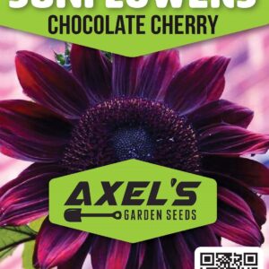 Sunflower Seeds for Planting – Plant & Grow Heirloom Chocolate Cherry Sunflowers in Home Outdoor Garden - Planting Instructions for Vibrant Blooms - Great Gardening Gift, 1 Packet