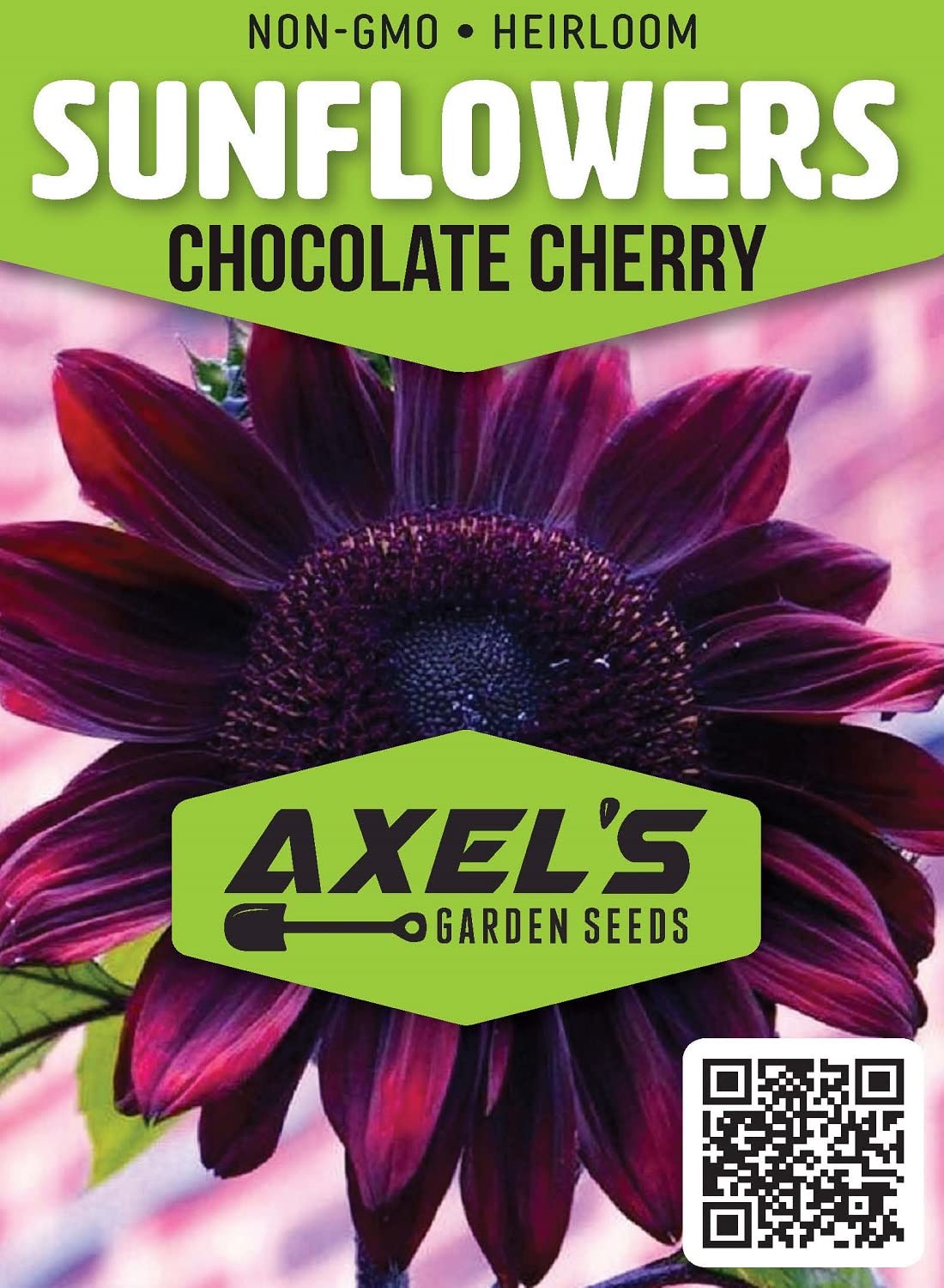 Sunflower Seeds for Planting – Plant & Grow Heirloom Chocolate Cherry Sunflowers in Home Outdoor Garden - Planting Instructions for Vibrant Blooms - Great Gardening Gift, 1 Packet