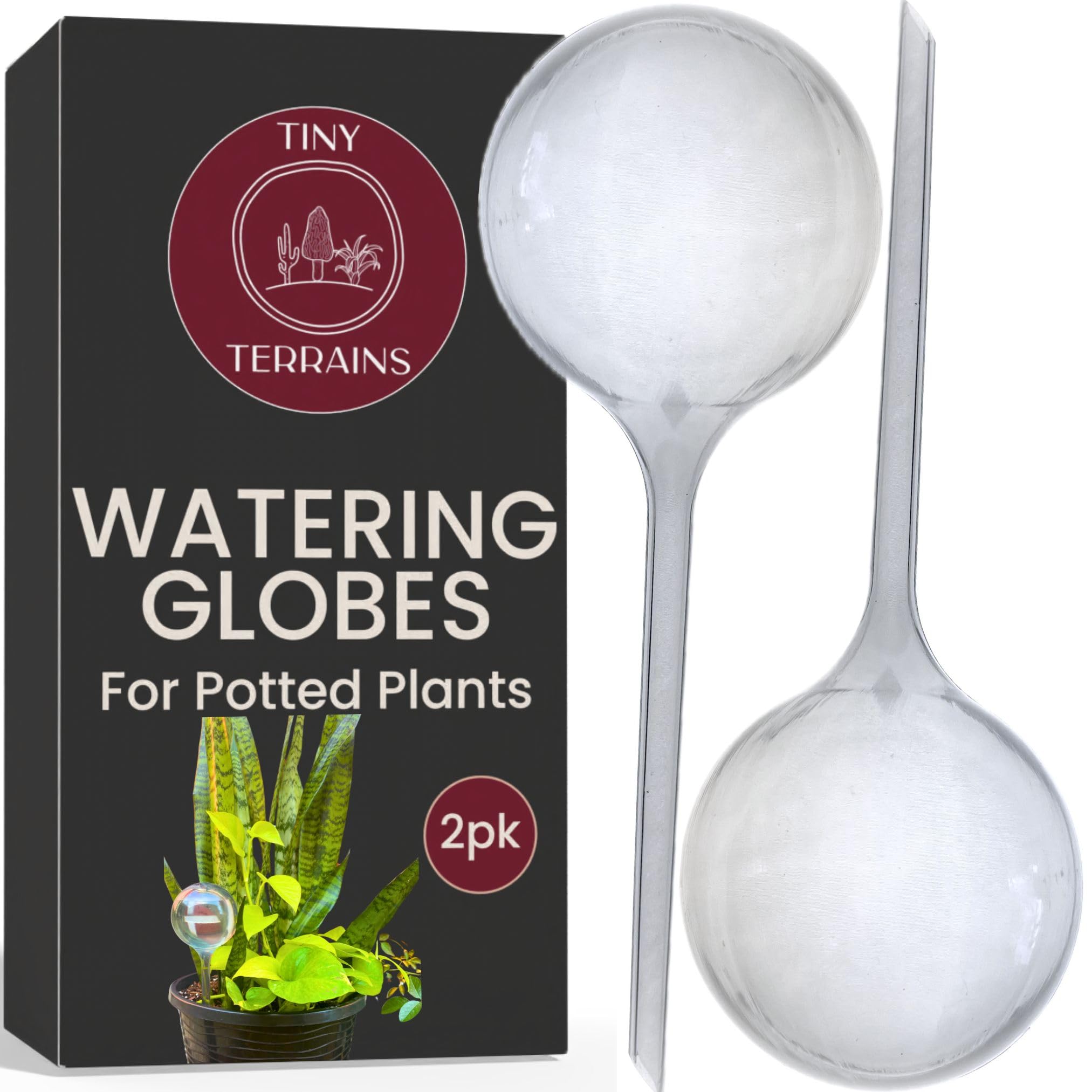 Tiny Terrains Water Globes for Watering Plants Automatically - Shatterproof & Weatherproof Water Bulbs for Indoor or Outdoor Plants - Keep Soil Moist & Plants Happy