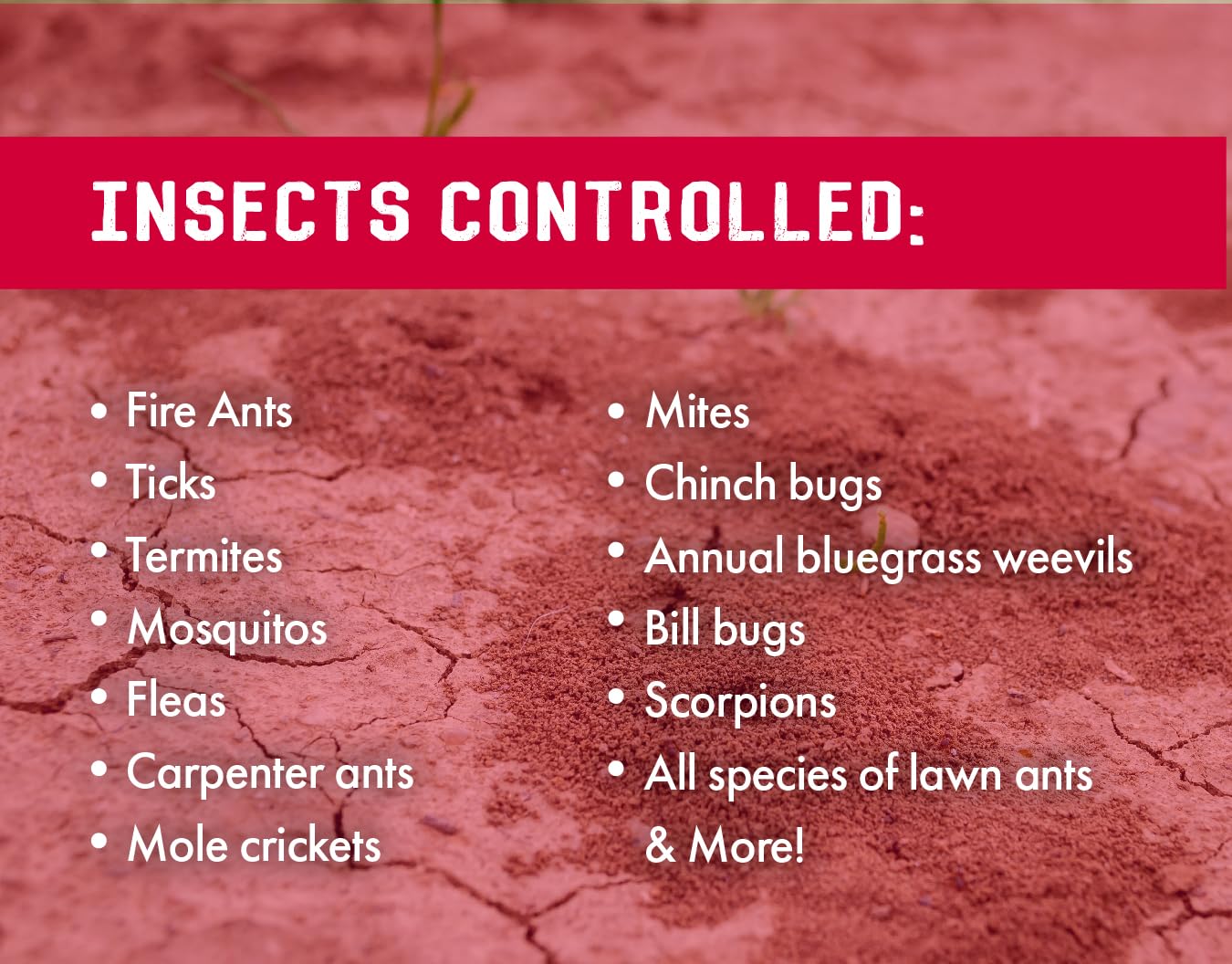 7.9% Bifenthrin Insecticide - 16 Ounces - (Compare to Leading Brands) – Professional Insect Control - Kills on Contact - Fire Ants, Ticks & More