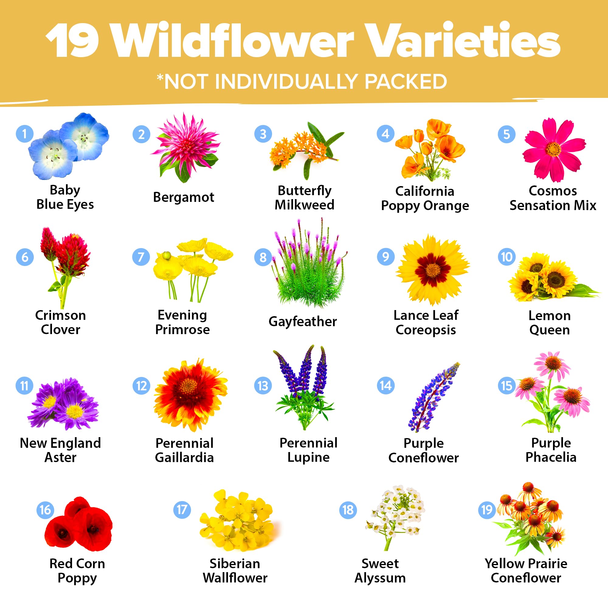 HOME GROWN Wildflower Seeds (3oz) 89,000+ Flower Seed Mix | No Filler | 19 Varieties, USA-Sourced Bulk Wild Flowers Seeds for Planting, Butterfly & Pollinator Perennial and Annual Wild Flower Mix