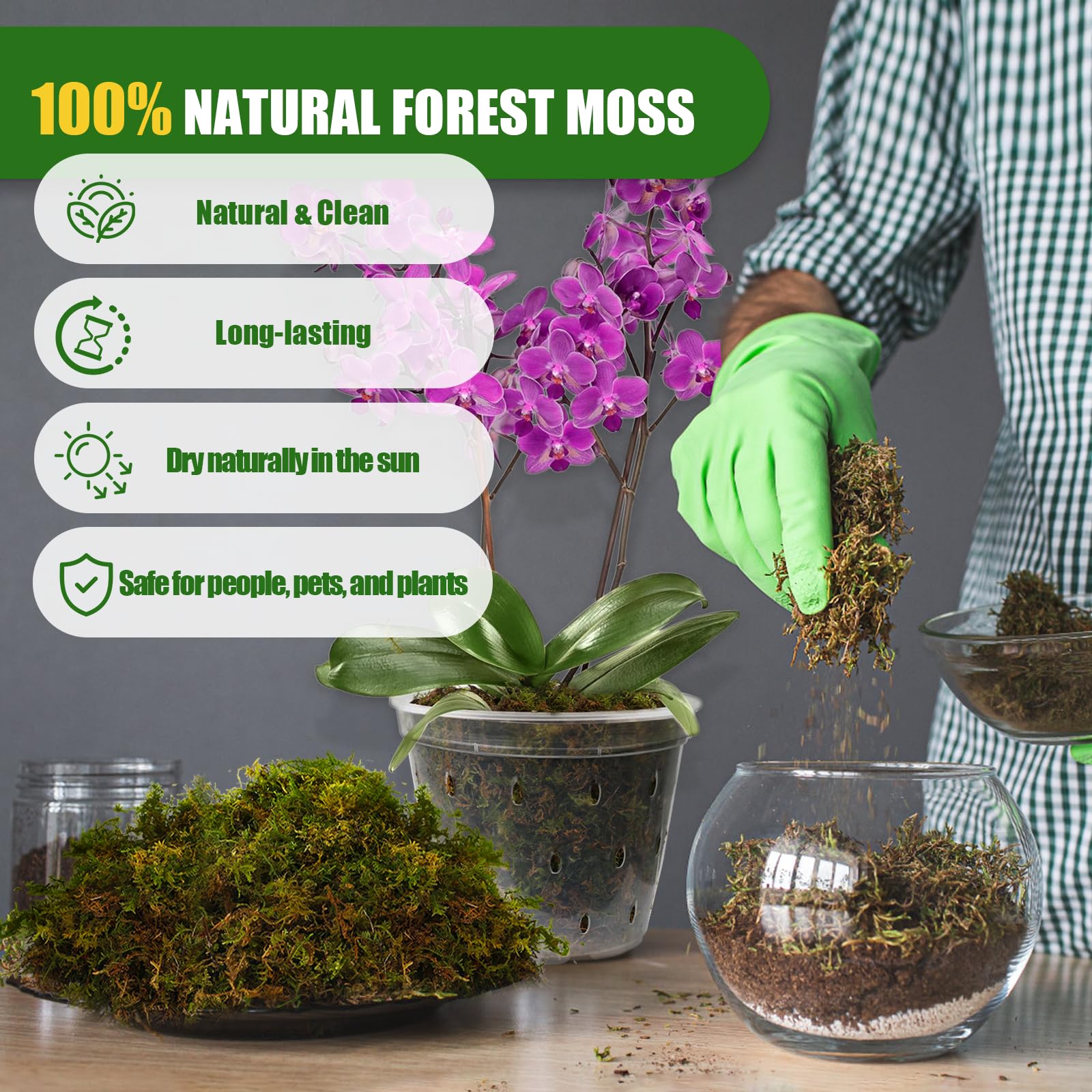 Doter Dried Forest Moss for Plants (5 qt / 1 pack), Sphagnum Potting Moss for Various Plants, Including Orchids, Carnivorous Plants, Succulents, Garden Flowers, and Reptiles