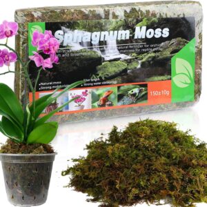 Doter Dried Forest Moss for Plants (5 qt / 1 pack), Sphagnum Potting Moss for Various Plants, Including Orchids, Carnivorous Plants, Succulents, Garden Flowers, and Reptiles