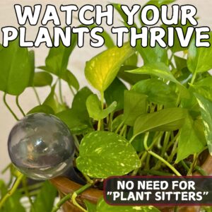 Tiny Terrains Water Globes for Watering Plants Automatically - Shatterproof & Weatherproof Water Bulbs for Indoor or Outdoor Plants - Keep Soil Moist & Plants Happy