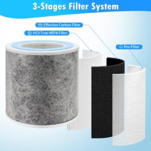 DerBlue 2pack HP100 HP102 HP152 True HEPA Replacement Filter Compatible with Shark Air Purifier HP100,HP102,HP130,HP132 and HC450, HC451, HC452, HC455,Compare Part #HE1FKPET, HE1FKBAS Filter