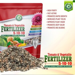 5-10-10 Tomato & Vegetable Fertilizer - Made in USA - Nitrogen, Phosphorus, Potassium Plant Food for Indoor/Outdoor Plants & Flower Gardens - Promotes Vigorous Growth and Big Blooms!