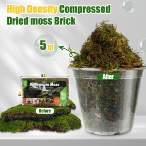 Doter Dried Forest Moss for Plants (5 qt / 1 pack), Sphagnum Potting Moss for Various Plants, Including Orchids, Carnivorous Plants, Succulents, Garden Flowers, and Reptiles