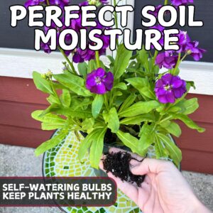 Tiny Terrains Water Globes for Watering Plants Automatically - Shatterproof & Weatherproof Water Bulbs for Indoor or Outdoor Plants - Keep Soil Moist & Plants Happy