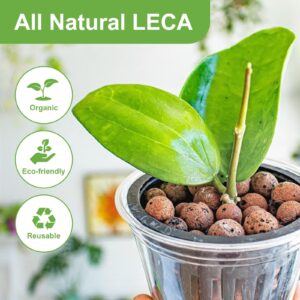 Pulovin 2.5 lbs LECA Balls for Indoor Plants, 4-16mm Clay Pebbles for Plants Hydroponic, Aquaponics, Natural Leca Balls for Soil Root Development, Orchid Potting Mix