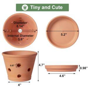 6 inch Terracotta Orchid Pots with Holes and Saucers, 3 Pack Clay Orchid Planter Pots for Repotting, Small Terra Cotta Orchid Pot, Plant Flower Pots for Orchid Indoor Outdoor Promotes Air Circulation