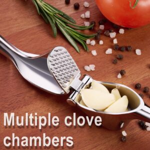 Honsen Garlic Press Easy to Squeeze and Clean, Zinc Alloy Garlic Mincer & Crusher with Soft Easy-Squeeze Ergonomic Handle