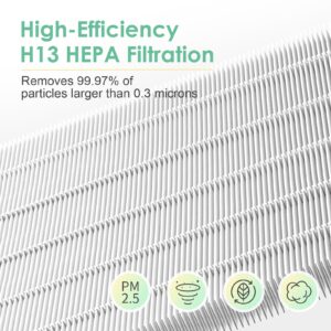 HSIAMEN 360 Combi Replacement Air Purifier Fan Filter Compatible with Dyson HP04 HP06 HP07 HP09 HP10 HP4B TP4A TP7A TP04 TP06 TP07 TP09 TP10 PH01 PH02 PH03 PH04 PH3A 970341-01 2-Pack