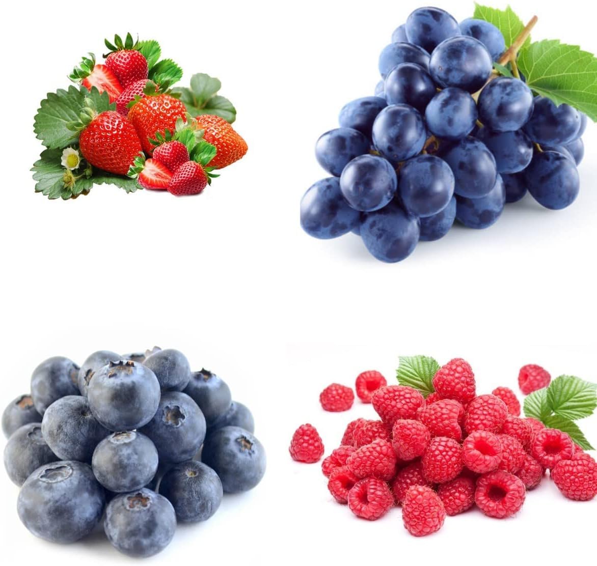 Mixed Fruit Seeds 1000+ Berry Seeds for Planting - Strawberry Raspberry Blueberry & Grape Seeds Fresh Fruit Seeds - Individually Packaged