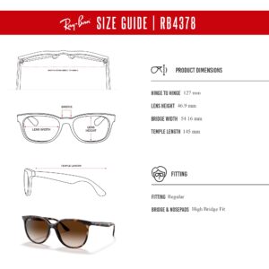 Ray-Ban RB4378 710/13 54MM Havana/Brown Gradient Square Sunglasses for Women + BUNDLE With Designer iWear Complimentary Eyewear Kit