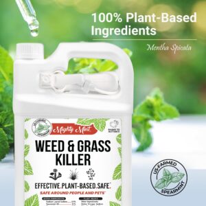 Weed & Grass Killer – Natural Vinegar & Salt Weed Killer – 1 Gallon - Glyphosate Free