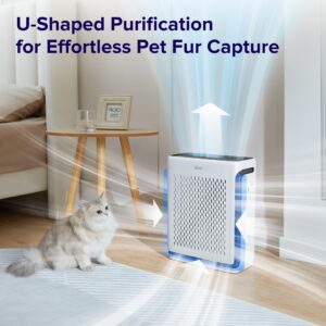 LEVOIT Air Purifiers for Home Large Room Bedroom Up to 1110 Ft² with Air Quality and Light Sensors & Vital 100S Pet Allergy Air Purifier Replacement