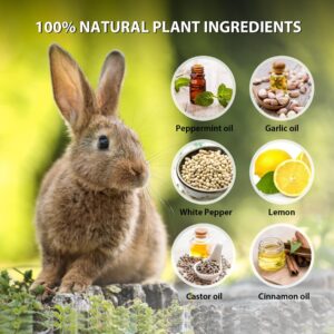 MAGIC CAT Rabbit Repellent Outdoor, 10 Pack Natural Peppermint Oil Deer and Rabbit Away Repellent for Plants Pet Family Safe, Rabbit Deterrent Deer Stopper to Keep Deer Bunny Out of Yard Garden Lawn