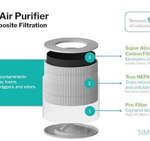 Simply Conserve Energy Star Tabletop Air Purifier for Home Cleans 6,960 ft3 per hour, True HEPA - 13 Filter, in White with Energy Saving Controls