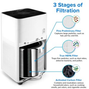 LEVOIT Air Purifiers for Home Large Room Up to 1980 Ft² in 1 Hr With Air Quality Monitor & LV-H135 Air Purifier Replacement Filter