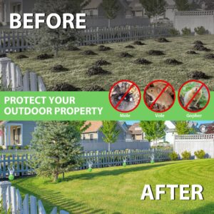 MAGIC CAT Mole Repellent for Lawns, 10 Pack Natural Castor Oil Vole Repellent Outdoor Pet Plant Safe, Gopher Repellent Mole Deterrent to Keep Mole Vole Groundhog Out of Your Lawn Yard Garden