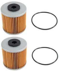 brooks ag parts set of two (2) hydrostatic transmission filter with o-ring compatible replacement for bad boy 063-1070-00