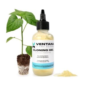 ventana plant science cloning gel - cloning paste with rapid rooter rooting hormone - 0.5% iba indole-3 butyric acid vitamin b-1 added, essential for healthy plant growth, dye-free